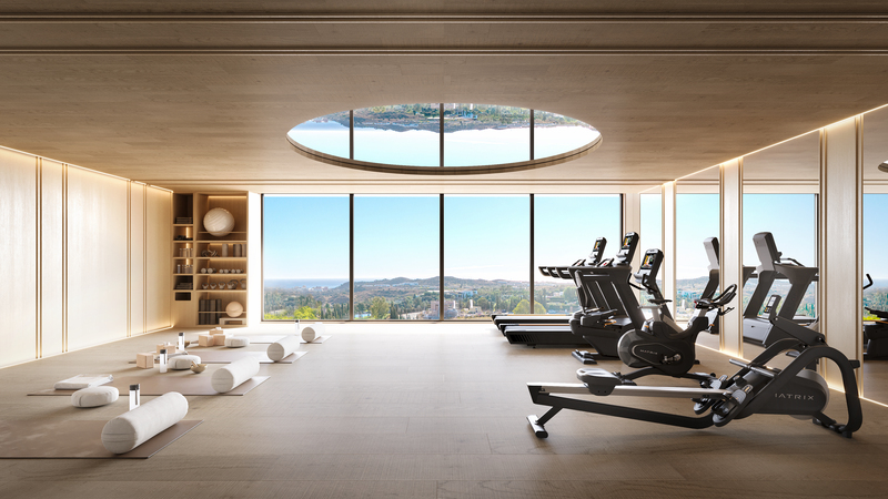 10_Gimnasio